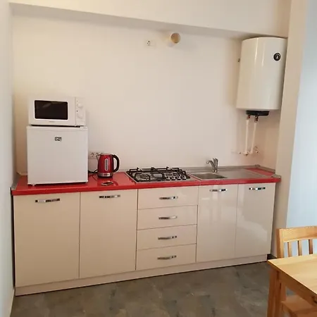 Apartment Studio Bogdan *